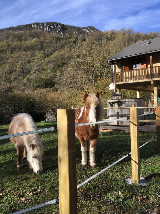 Les Marmottes Pour 12 Avec Bain Nordique Privatif Vila Camous Exterior foto