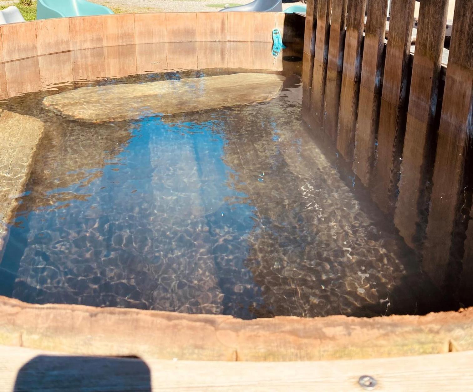 Les Marmottes Pour 12 Avec Bain Nordique Privatif Vila Camous Exterior foto